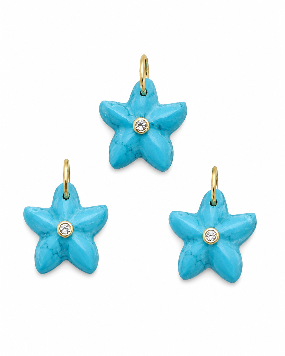 Star Fish