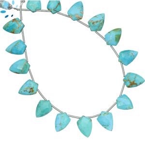Turquoise Shield Shape Beads 12x8mm