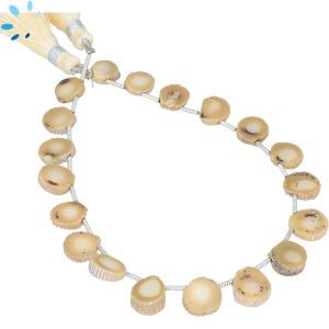 Natural Bamboo Coral Smooth Organic Coin Beads 9x9 to 10x10 MM