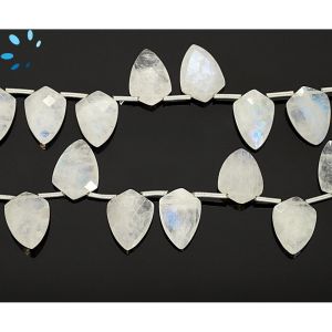  Rainbow Moonstone Faceted Shield Beads 13x10 - 14x10mm