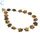 Tiger Eye Faceted Star Shape 9x9 - 10x10mm Beads 