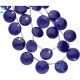 Lapis Faceted Coin Shape Beads  (SD) 12-13MM