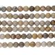 Fossil Coral Smooth Round Beads 8Mm