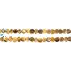 Tiger Eye Smooth Coin Beads 5 - 6Mm